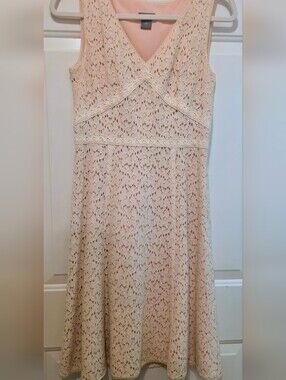 Ann Taylor 6P Sleeveless Lace A-Line Dress